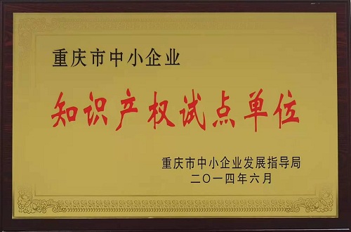 知識(shí)產(chǎn)權(quán)試點(diǎn)單位
