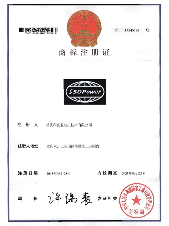 S50POWER-第7類(lèi)14545187-1