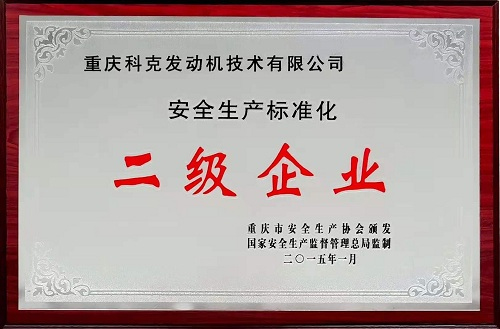 安全生產(chǎn)標(biāo)準(zhǔn)二級企業(yè)