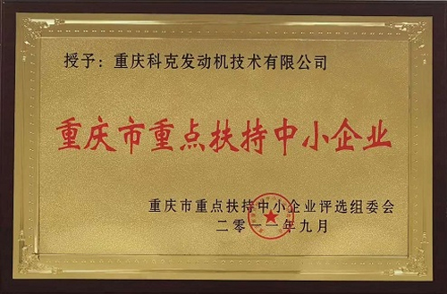 重點(diǎn)扶持企業(yè)