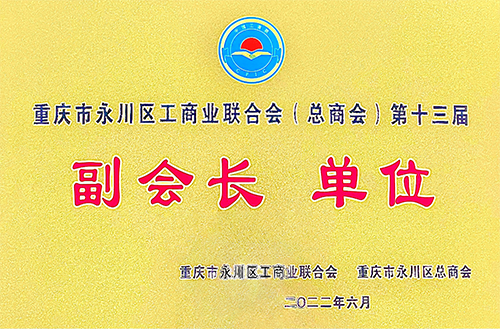 工商業(yè)聯(lián)合會副會長單位