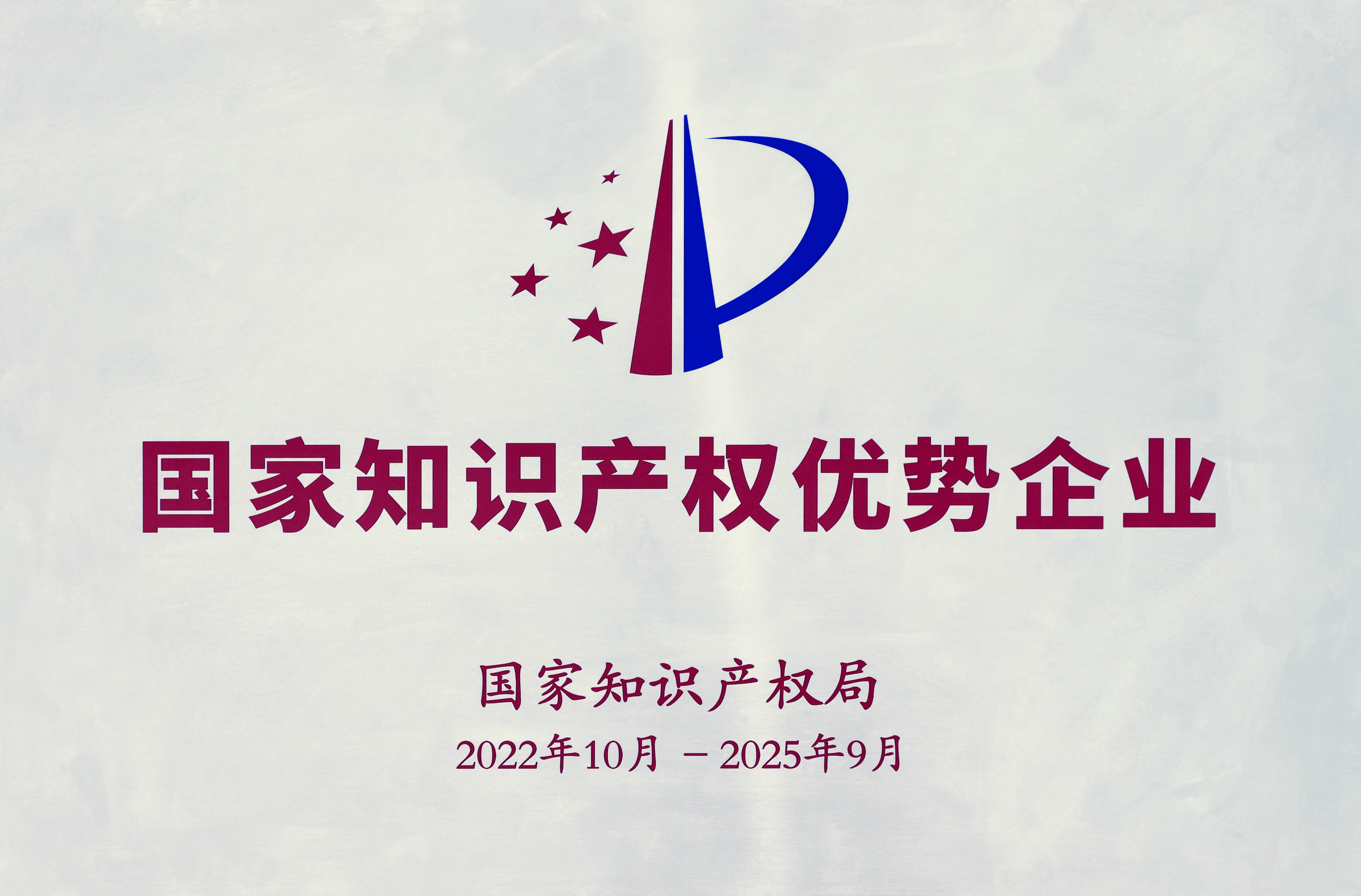 國家知識產(chǎn)權(quán)優(yōu)勢企業(yè)