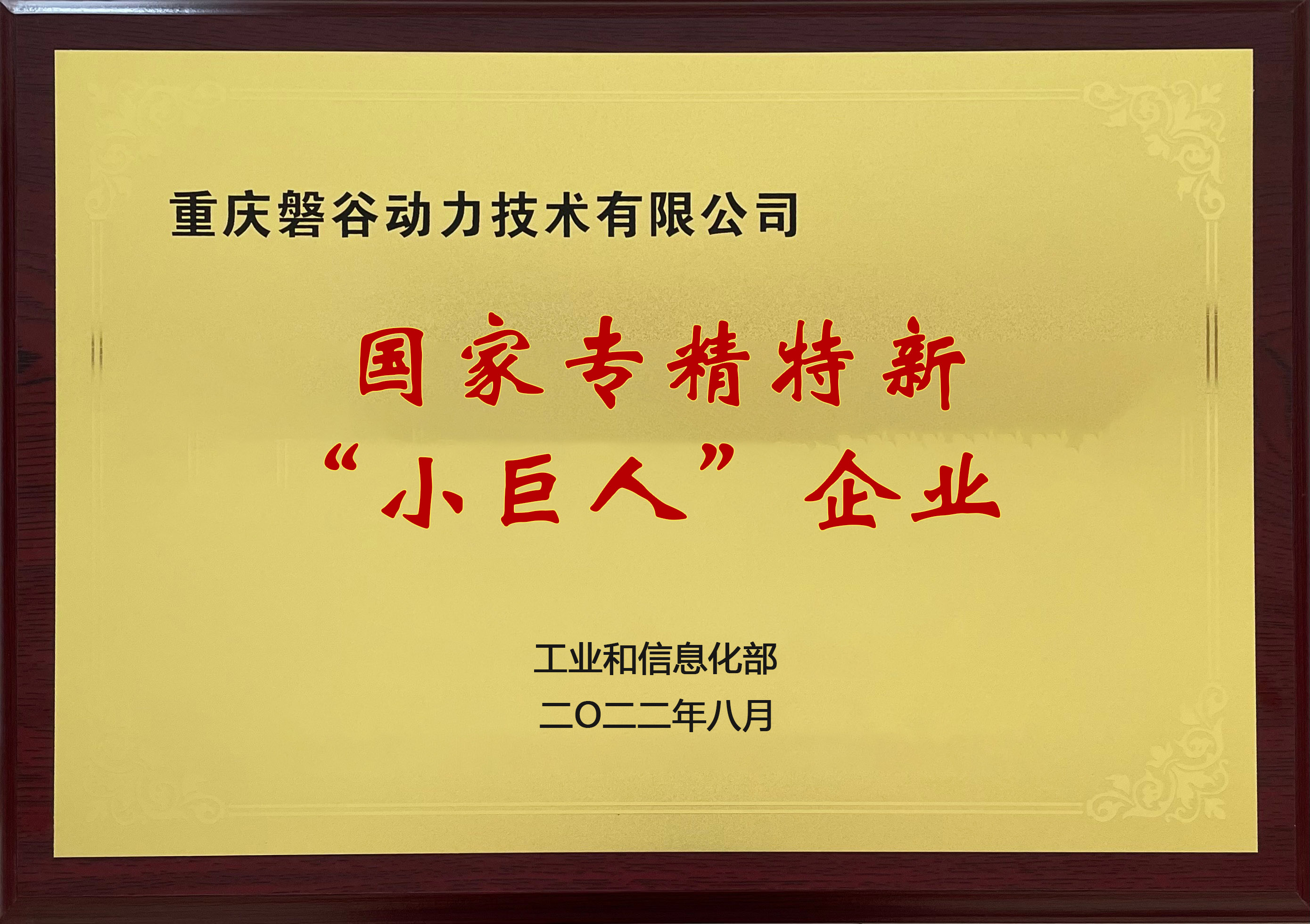 國家專精特新小巨人企業(yè)