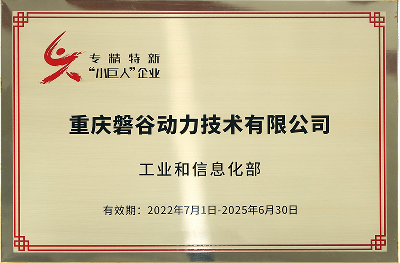 專精特新小巨人企業(yè)