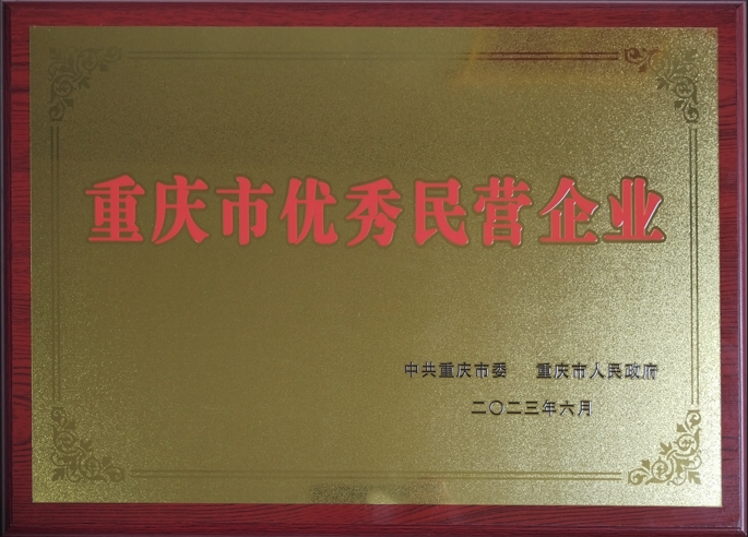 2023年重慶市優(yōu)秀民營企業(yè)