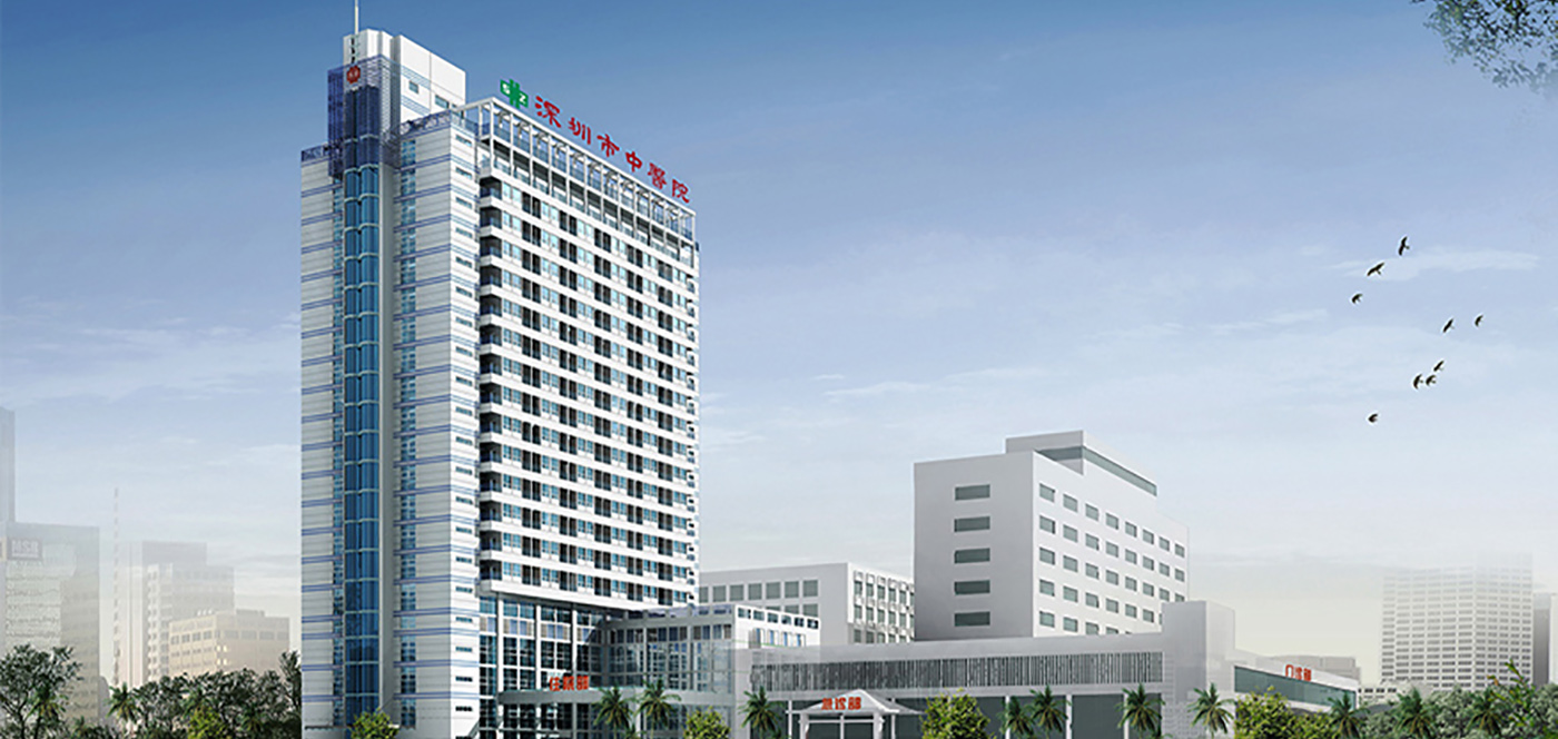 Hospital Power Security: Critical Infrastructure Protection