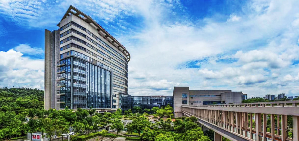 柴油發(fā)動機