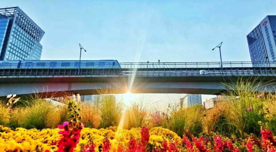 燃?xì)獍l(fā)動機