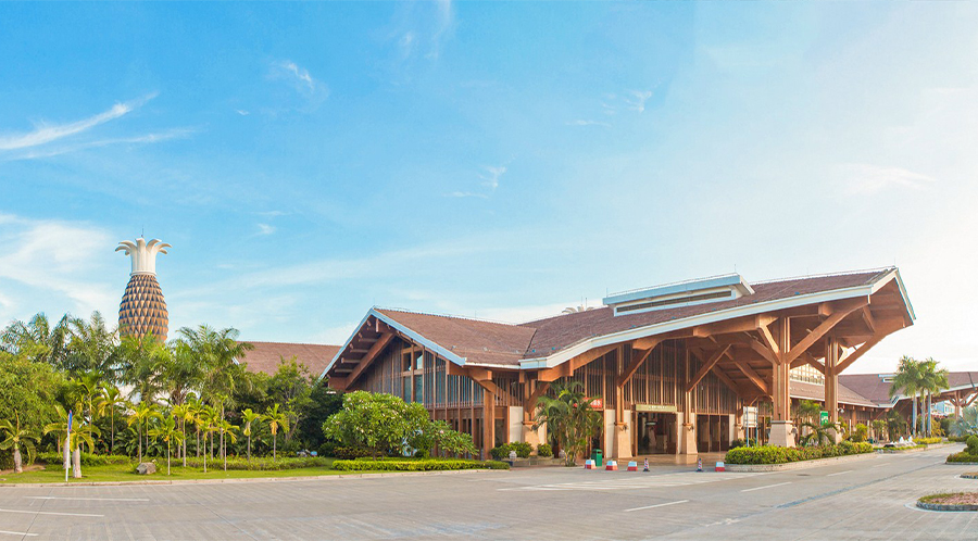 燃?xì)獍l(fā)動機