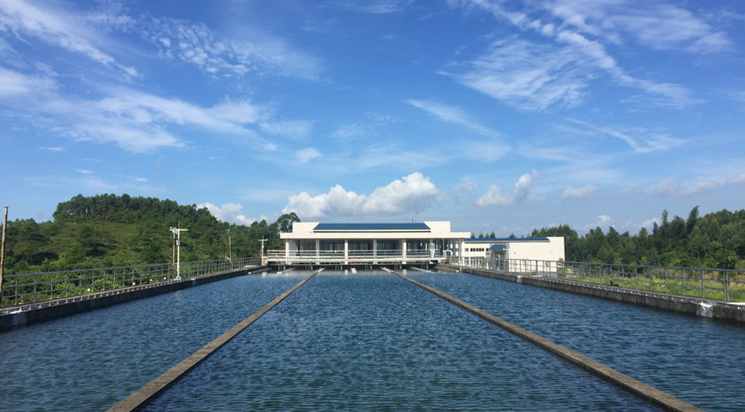 柴油發(fā)動機