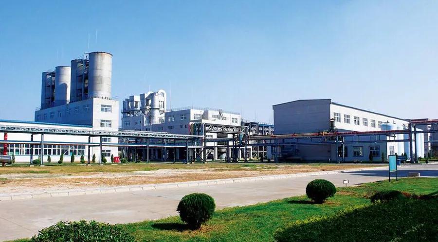 燃?xì)獍l(fā)動機