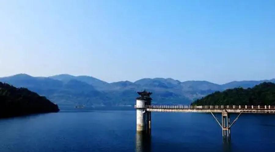 燃?xì)獍l(fā)動機