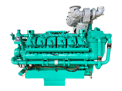 Electronic fuel injection diesel engine