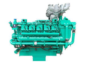 Electronic fuel injection diesel engine